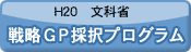 H20文科省　戦略GP採択プログラム