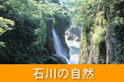 石川の自然