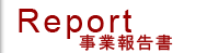 事業報告書